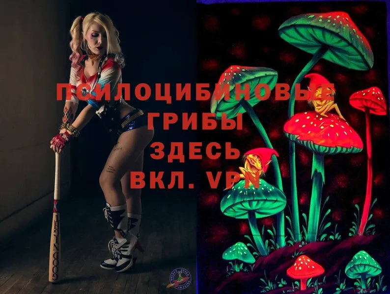 Псилоцибиновые грибы Magic Shrooms  купить наркотик  Прохладный 